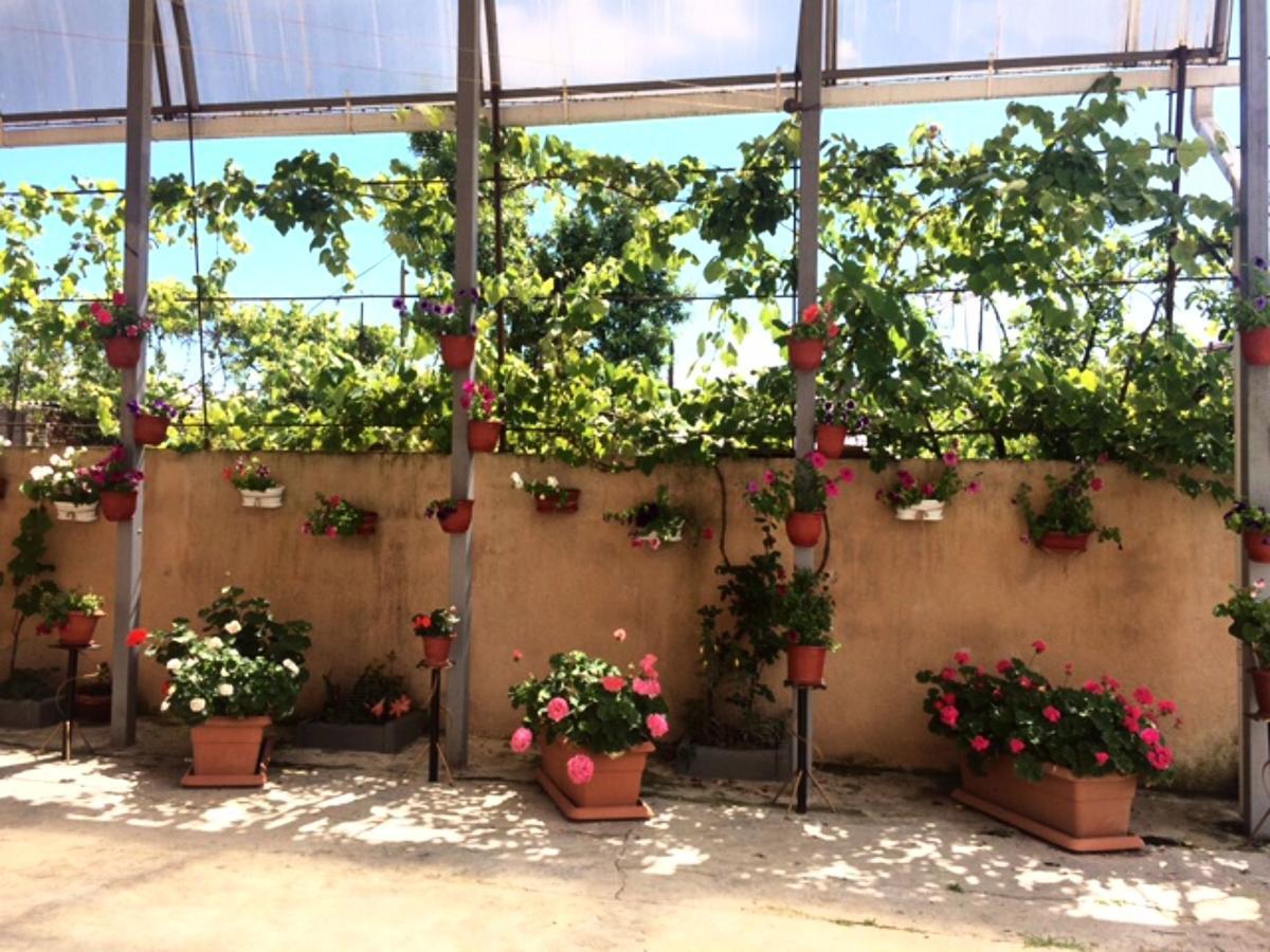 סוקהום Guesthouse On Zheleznodorozhnaya מראה חיצוני תמונה