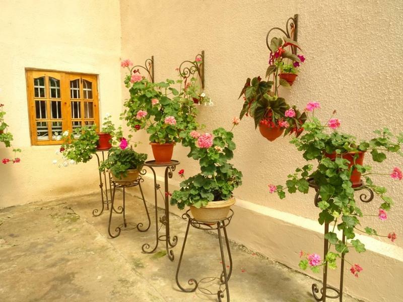 סוקהום Guesthouse On Zheleznodorozhnaya מראה חיצוני תמונה